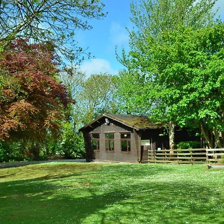 37 Trevithick Court, Tolroy Manor Villa Hayle Ngoại thất bức ảnh